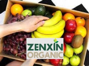 organic-delivery-singapore